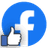 Facebook Insights