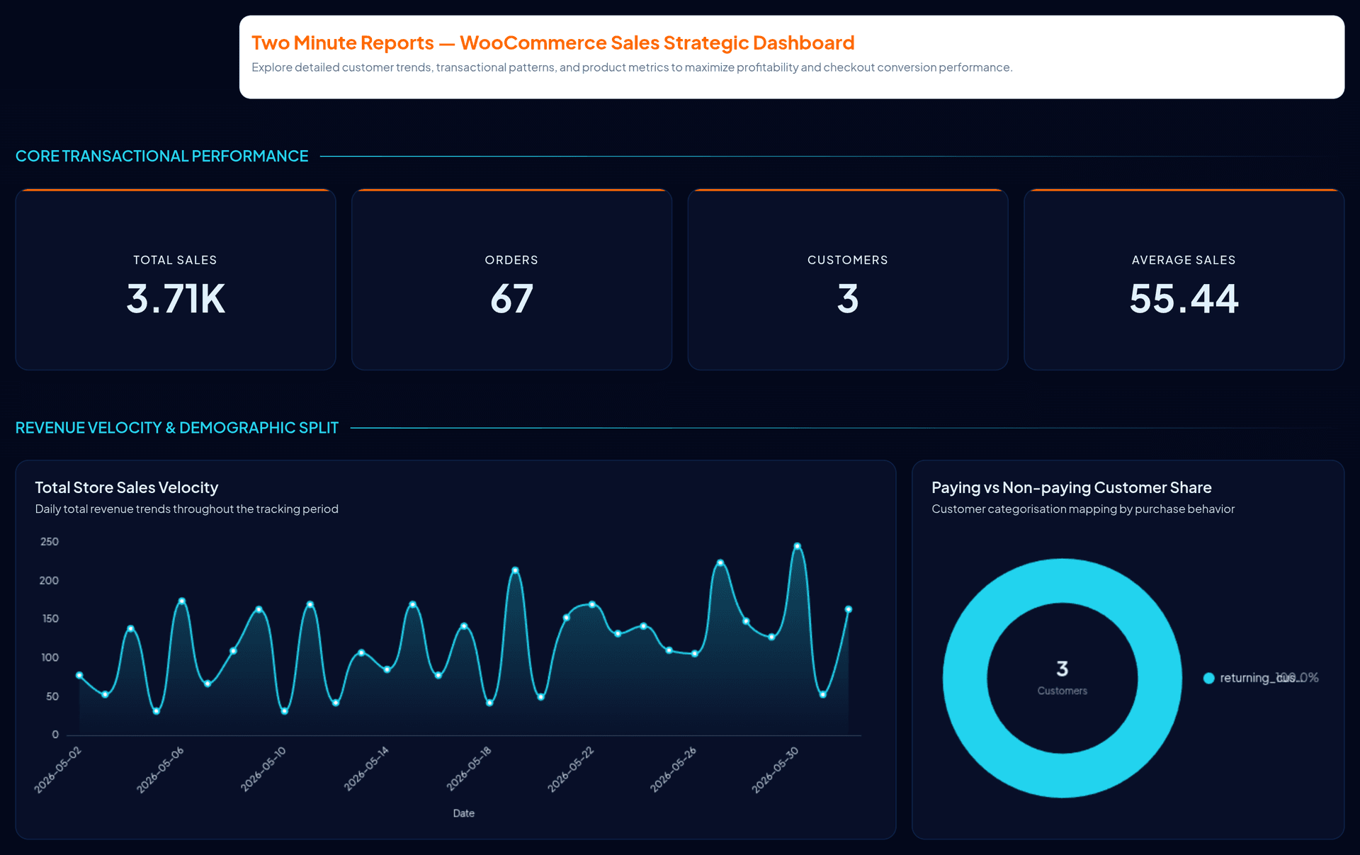 WooCommerce Store Performance Overview