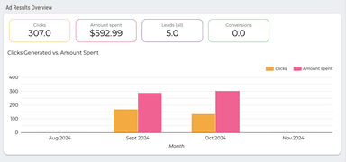 Facebook Ads Overview and Ad Analysis Report