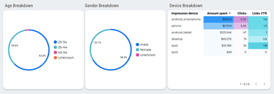 Facebook Ads Overview Report