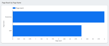 Facebook Page Insights Report for Google Looker Studio: Free & Customizable