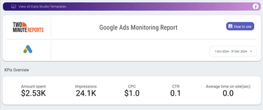 Google Ads Monitoring Report