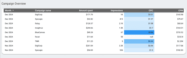 Google Ads Monitoring Report