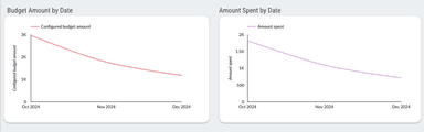 Google Ads Overview Dashboard
