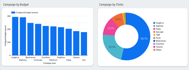Google Ads Overview Dashboard