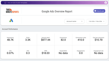 Google Ads Overview Report