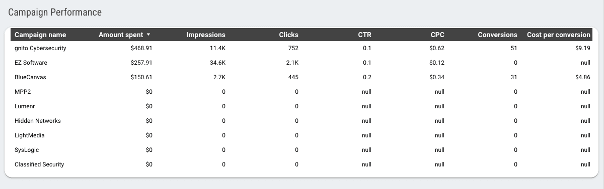 Google Ads Overview Report