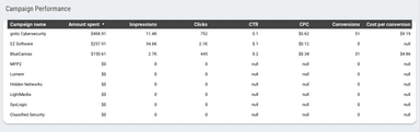 Google Ads Overview Report