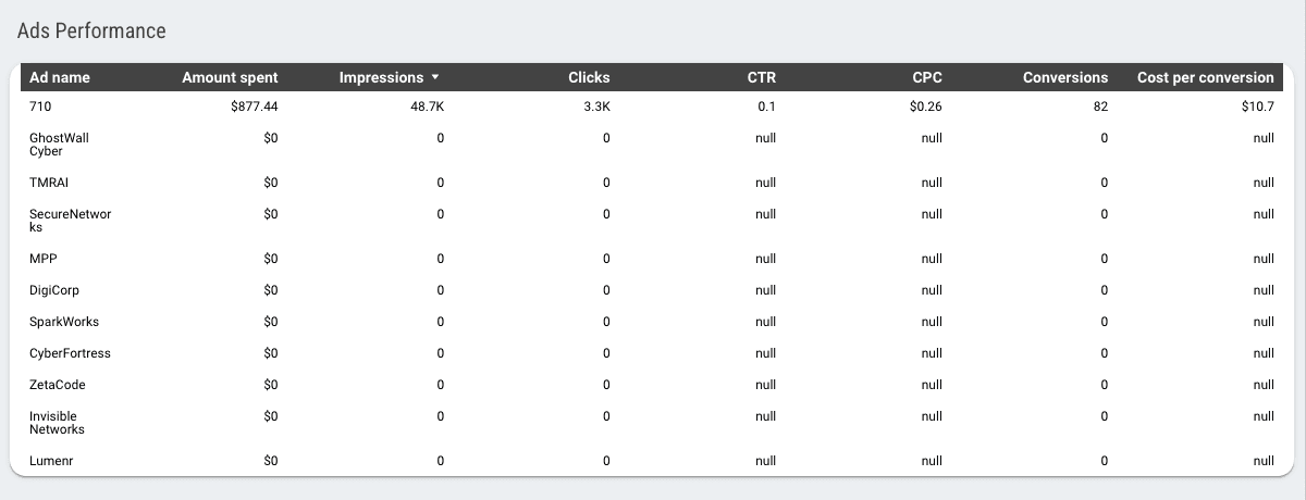 Google Ads Overview Report