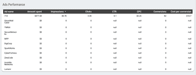 Google Ads Overview Report