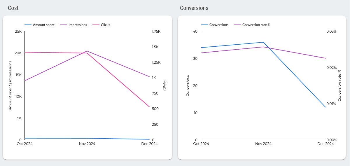 Google Ads Overview Report