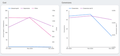 Google Ads Overview Report