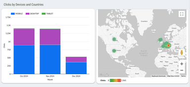 Google Ads Overview Report