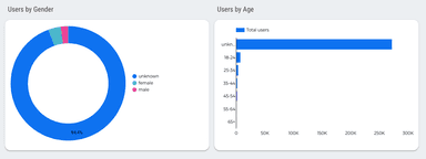 Google Analytics 4 Overview Report