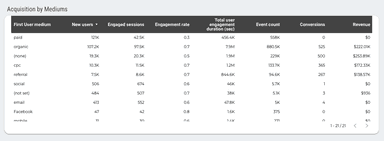 Google Analytics 4 Overview Report