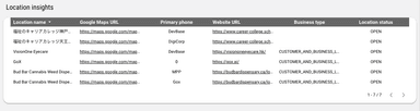 Google My Business - Demographic Analysis Report