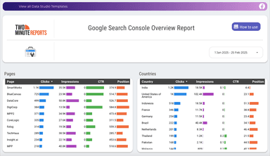 Google Search Console Overview Report