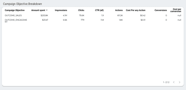 Instagram Ads Performance Overview Report