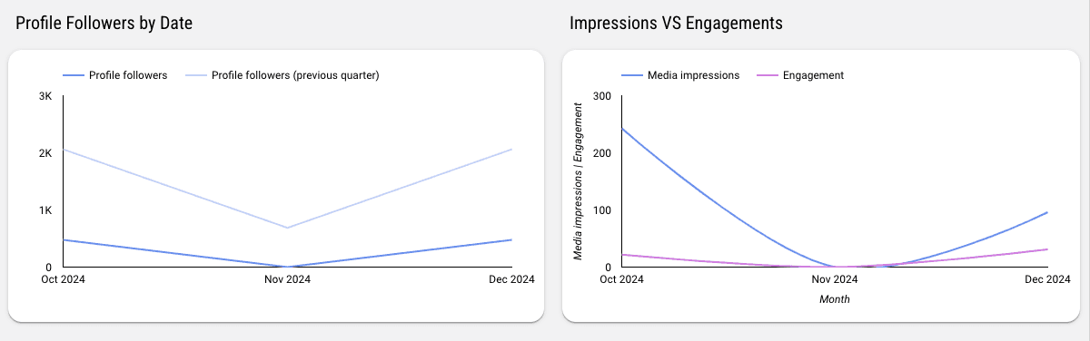 Instagram Insights Monitoring Report