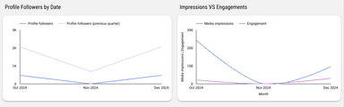 Instagram Insights Monitoring Report