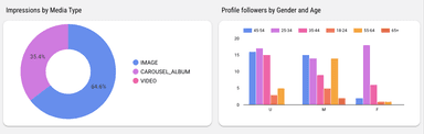 Instagram Insights Monitoring Report