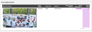 Instagram Insights Monitoring Report