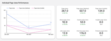 LinkedIn Pages Overall Performance Report