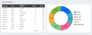 Microsoft Ads Overall Report