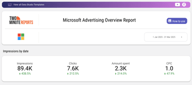 Microsoft Advertising Overview Report