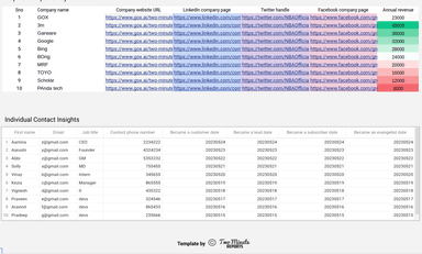 HubSpot - Company and User in depth Analytical Report