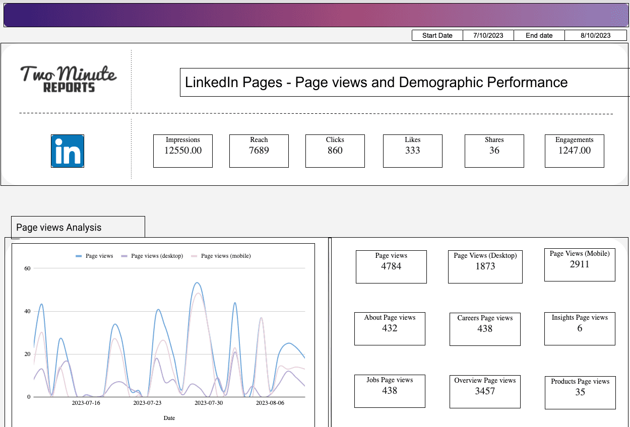 LinkedIn Pages - Page views and Demographic Performance