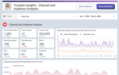 Youtube Insights - Channel and Audience Analysis