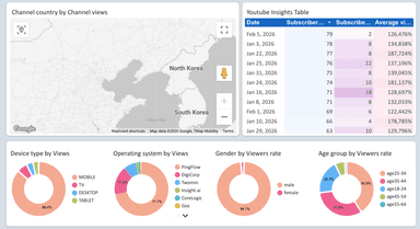 Youtube Insights - Channel and Audience Analysis