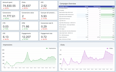 Google Ads Overview Report