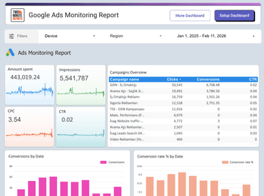 Google Ads Monitoring Report