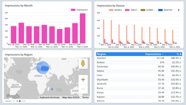 Google Ads Visibility Overview Report