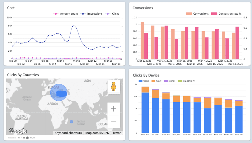 Google Ads Overview Report