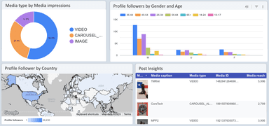 Instagram Insights Monitoring Report