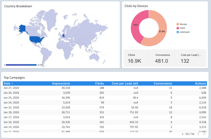 Instagram Ads Reporting Dashboard
