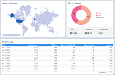 Instagram Ads Reporting Dashboard