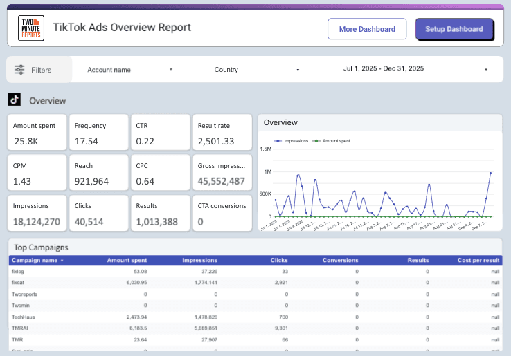 TikTok Ads Overview Report