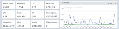 TikTok Ads Overview Report