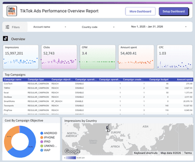TikTok Ads Performance Overview Report