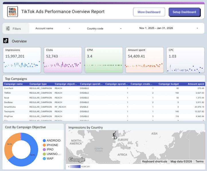 TikTok Ads Performance Overview Report