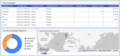 TikTok Ads Performance Overview Report