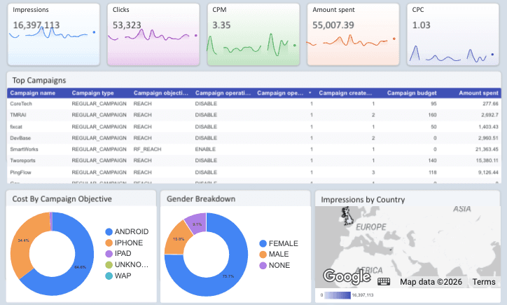 TikTok Ads Overview - Campaign And Audience Info Report