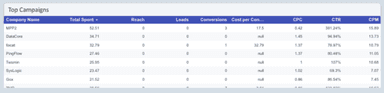 LinkedIn Ads Performance Overview Report