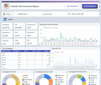 LinkedIn Ads Overview Report