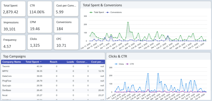 LinkedIn Ads Overview Report