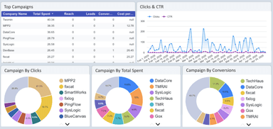 LinkedIn Ads Overview Report